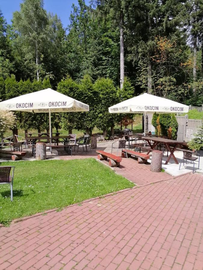 Pasja Bed & Breakfast Swieradow-Zdroj Exterior photo