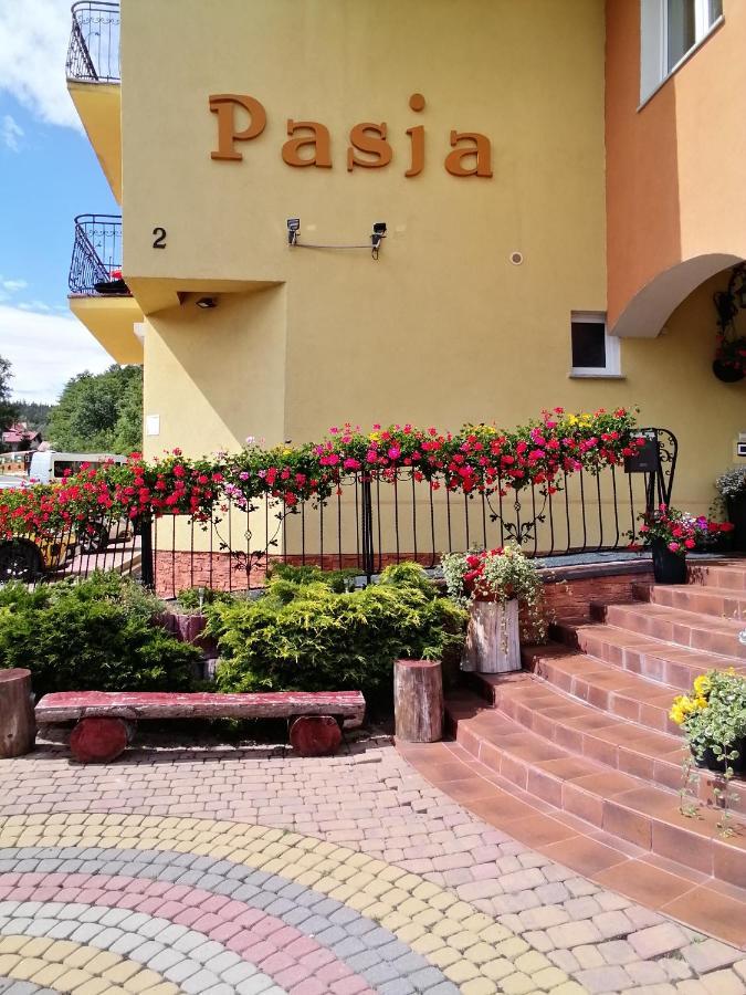 Pasja Bed & Breakfast Swieradow-Zdroj Exterior photo